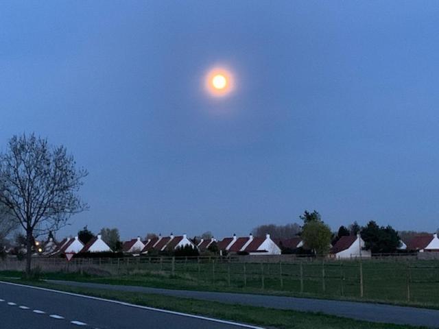 Duinendaele 232 Met Sauna Bij Plopsaland En Natuurreservaat De Panne Bagian luar foto